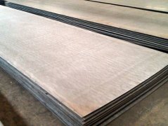 stainless Steel clad aluminum strip for making cooking ware